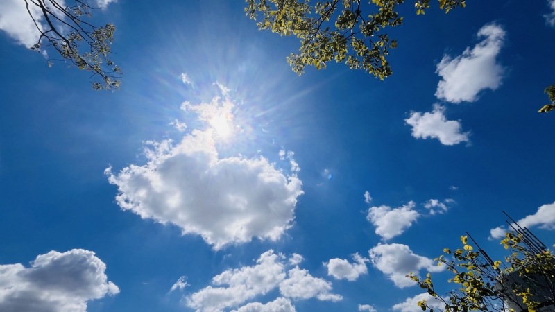 SHUNTO(ｼｭﾝﾄ) 白昼夢☺︎