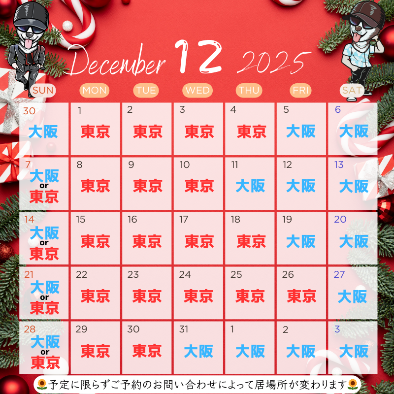 HIMAWARI(ヒマワリ) 12月の予定 東京&大阪