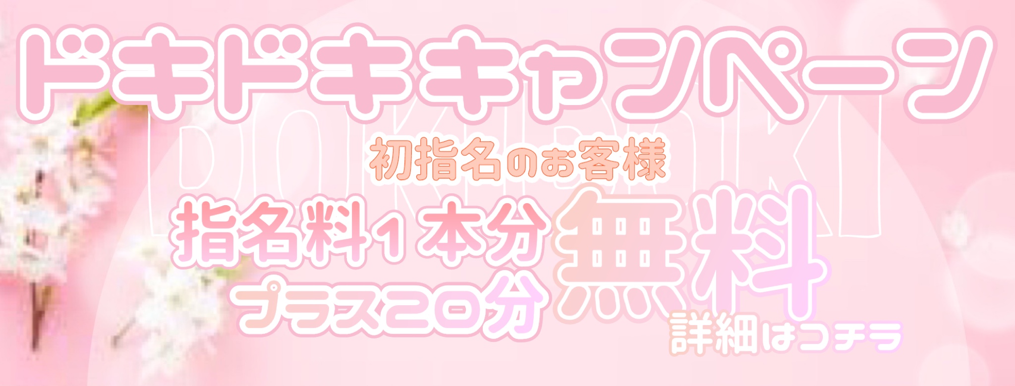 ドキドキキャンペーン