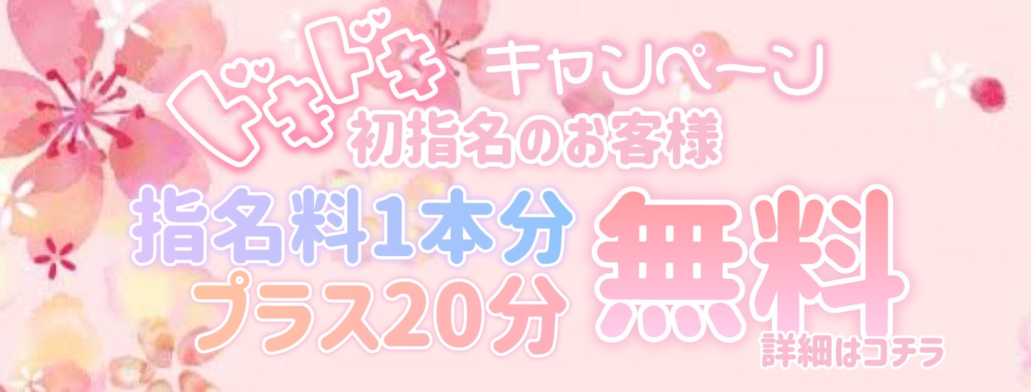 ドキドキキャンペーン