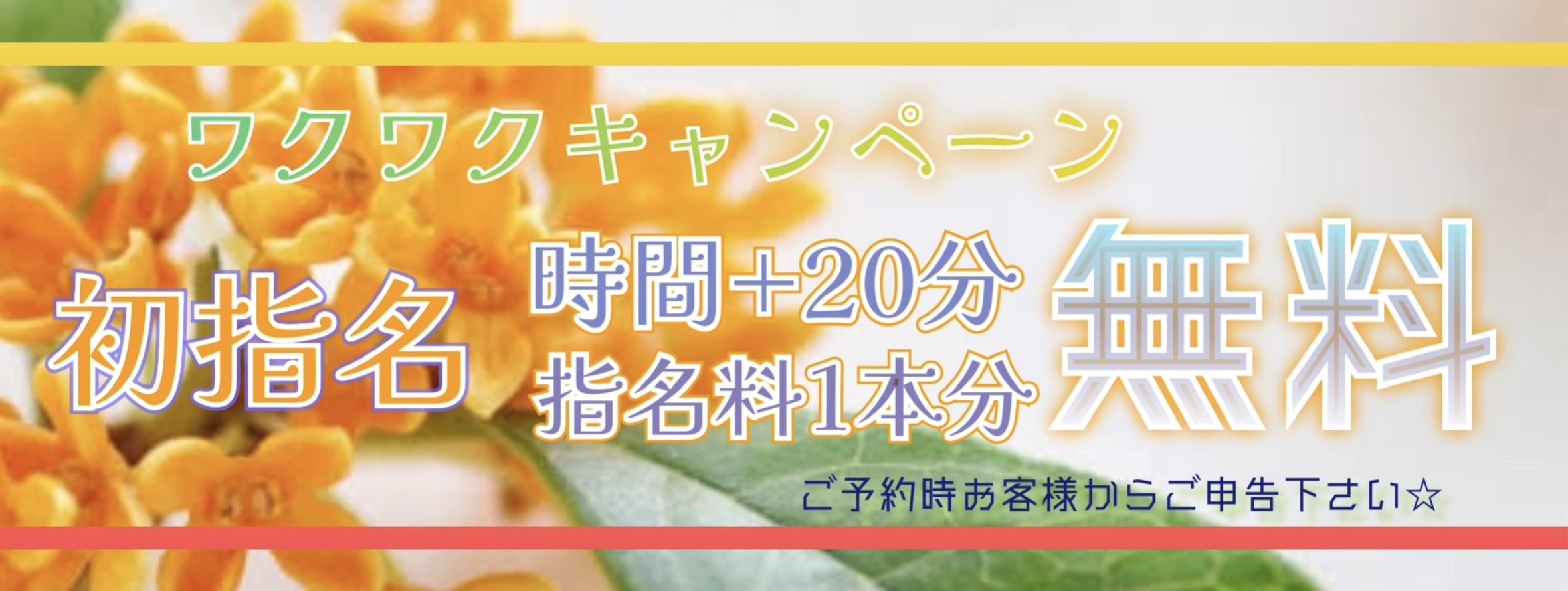 キャンペーン