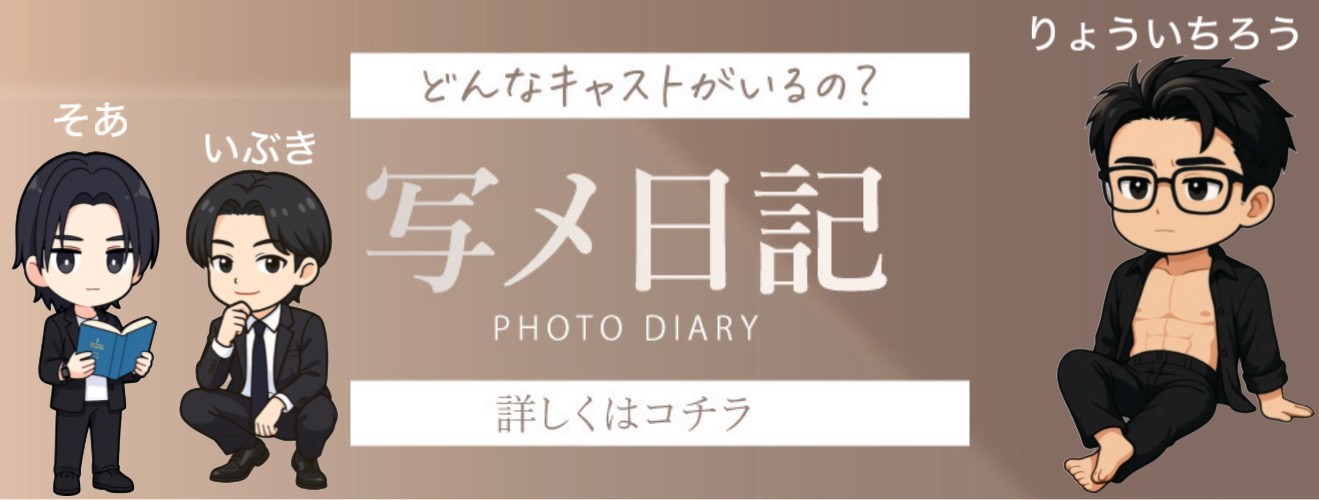 写メ日記