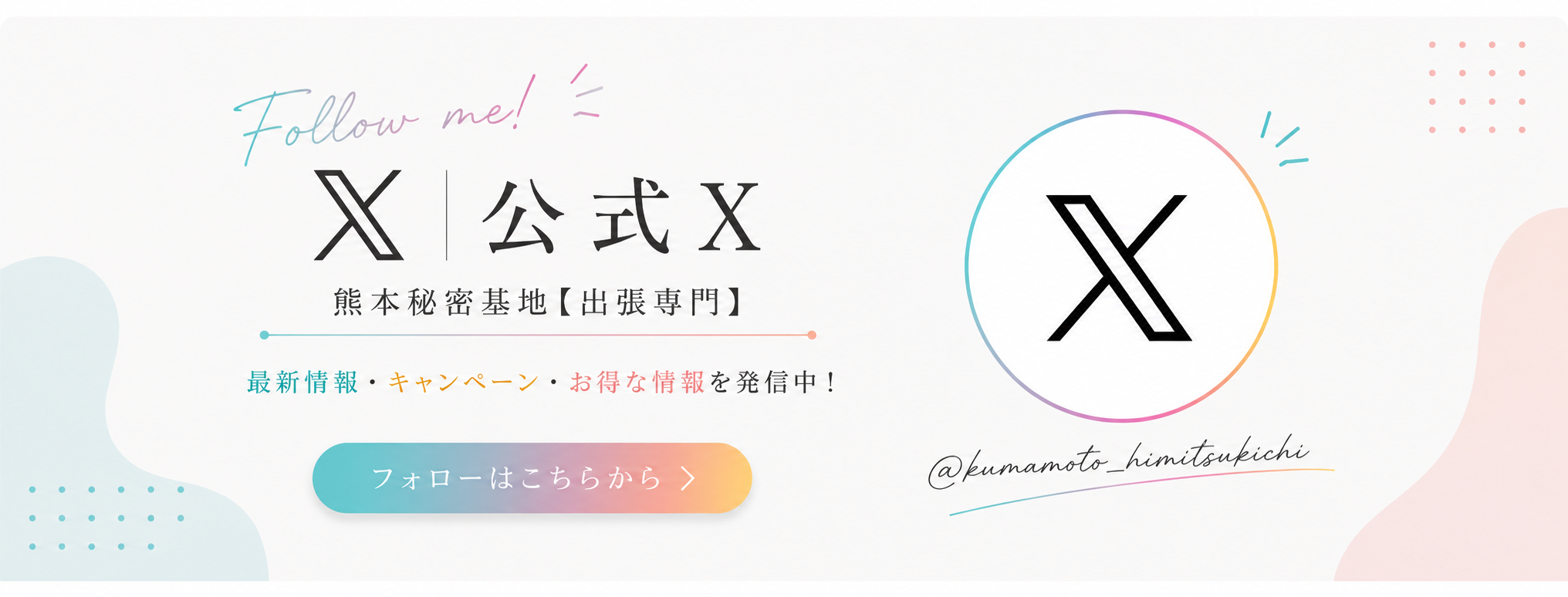 公式X