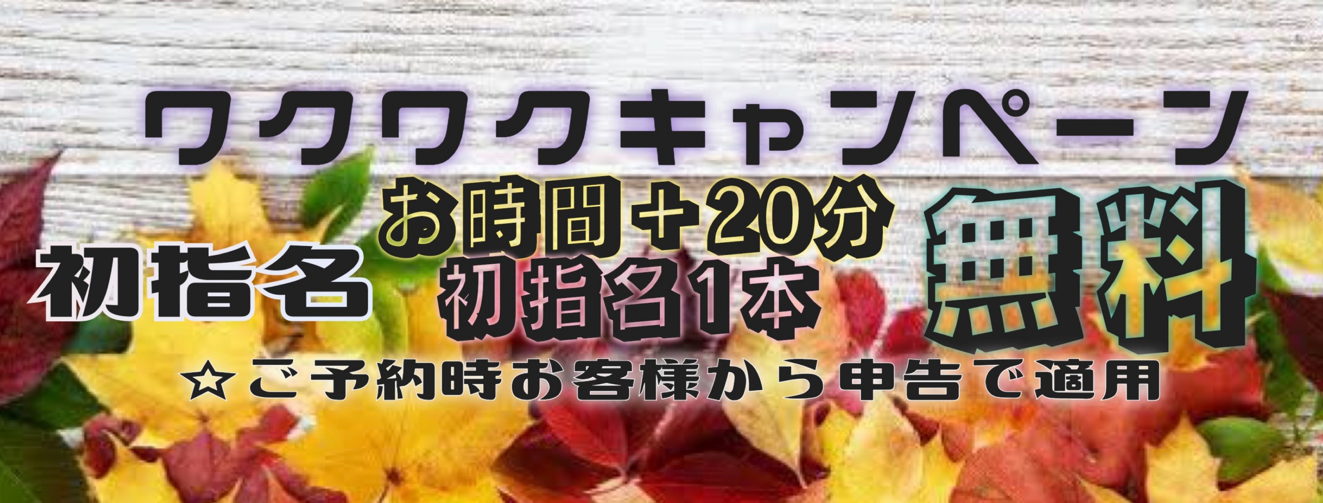 キャンペーン