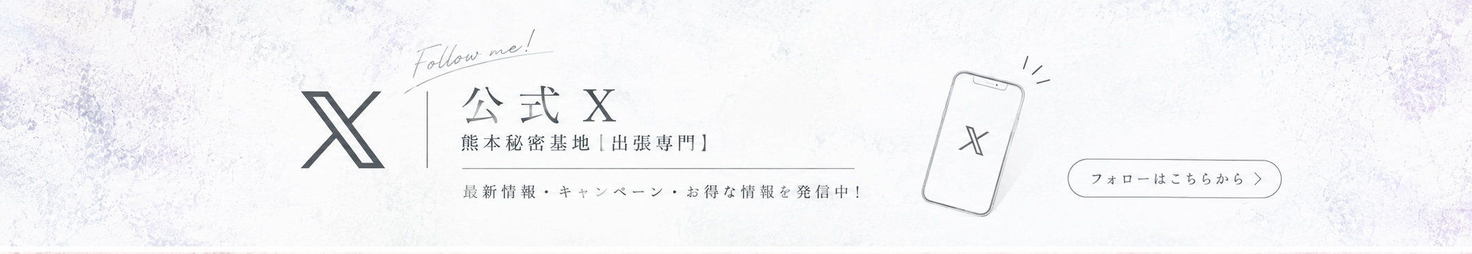 公式X
