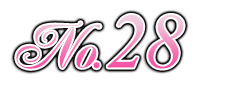 ランキング 第28位